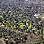 Apartmanhotel I Trulli Di Acquarossa