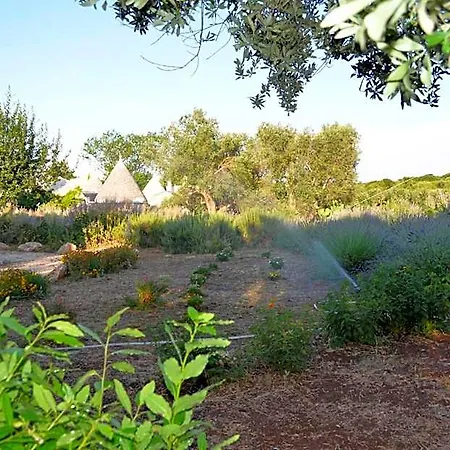 I Trulli Di Acquarossa 4*